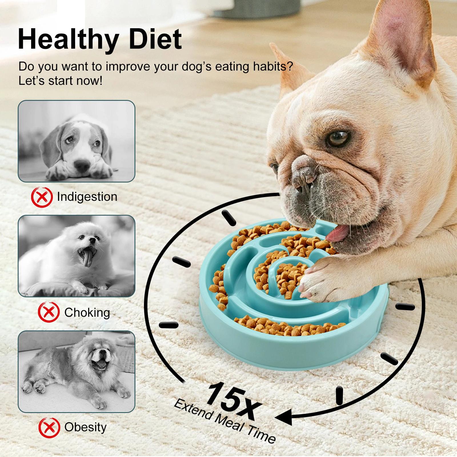 Pet Dog Slow Feeder Bowl Fun N - Royal Canin Food Medium review and price